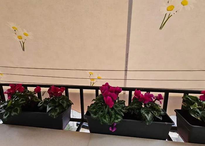 City Center Apartment
