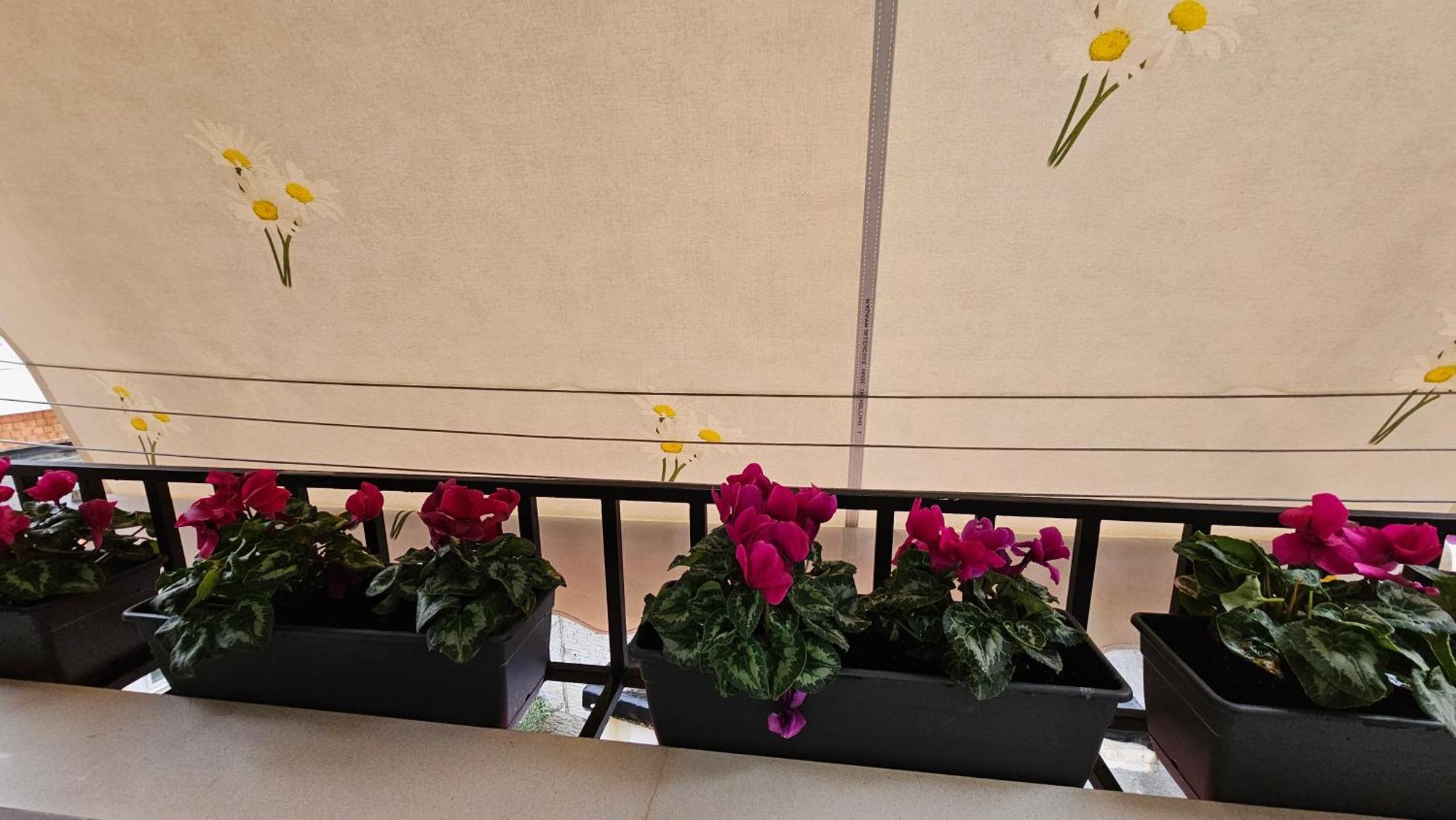 Center Apartment Tirana